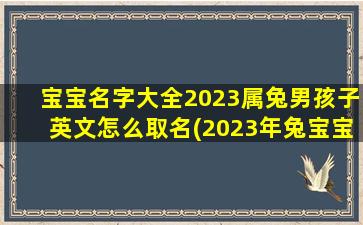 宝宝名字大全2023属兔男孩子英文怎么取名(2023年兔宝宝起名字)