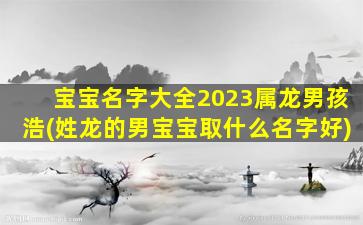 宝宝名字大全2023属龙男孩浩(姓龙的男宝宝取什么名字好)