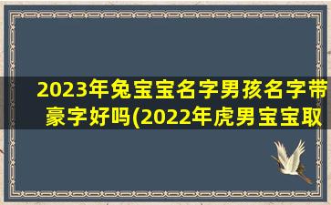 2023年兔宝宝名字男孩名字带豪字好吗(2022年虎男宝宝取名字最佳字)