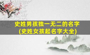 史姓男孩独一无二的名字(史姓女孩起名字大全)