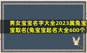 男女宝宝名字大全2023属兔宝宝取名(兔宝宝起名大全600个)
