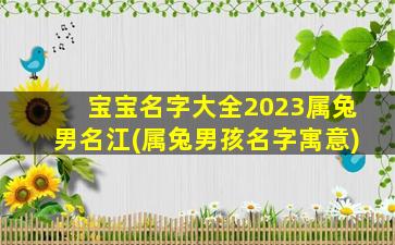 宝宝名字大全2023属兔男名江(属兔男孩名字寓意)