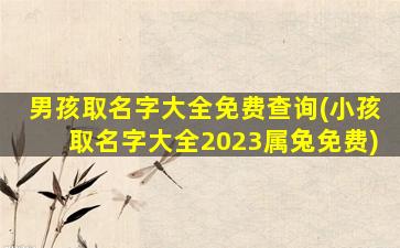 男孩取名字大全免费查询(小孩取名字大全2023属兔免费)