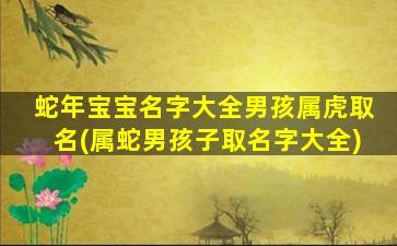 蛇年宝宝名字大全男孩属虎取名(属蛇男孩子取名字大全)