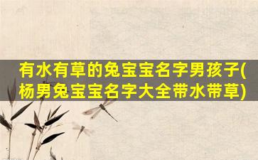 有水有草的兔宝宝名字男孩子(杨男兔宝宝名字大全带水带草)
