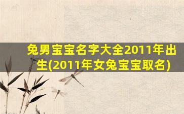 兔男宝宝名字大全2011年出生(2011年女兔宝宝取名)