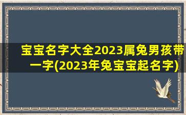 宝宝名字大全2023属兔男孩带一字(2023年兔宝宝起名字)