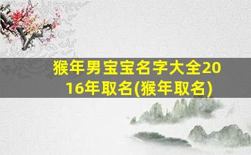 猴年男宝宝名字大全2016年取名(猴年取名)