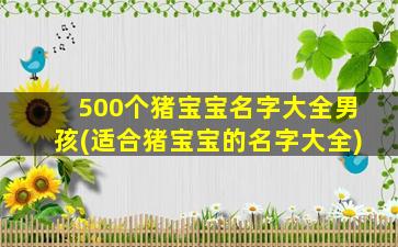 500个猪宝宝名字大全男孩(适合猪宝宝的名字大全)