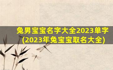 兔男宝宝名字大全2023单字(2023年兔宝宝取名大全)