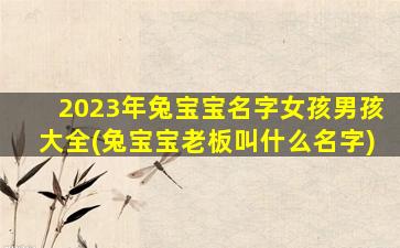 2023年兔宝宝名字女孩男孩大全(兔宝宝老板叫什么名字)
