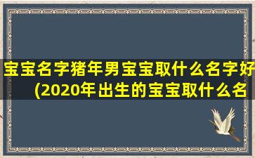 宝宝名字猪年男宝宝取什么名字好(2020年出生的宝宝取什么名字)