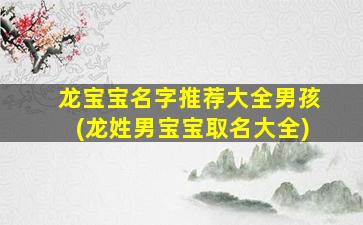 龙宝宝名字推荐大全男孩(龙姓男宝宝取名大全)