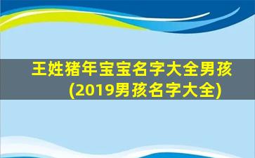 王姓猪年宝宝名字大全男孩(2019男孩名字大全)