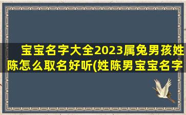 宝宝名字大全2023属兔男孩姓陈怎么取名好听(姓陈男宝宝名字大全2021属牛)