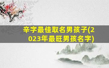 辛字最佳取名男孩子(2023年最旺男孩名字)
