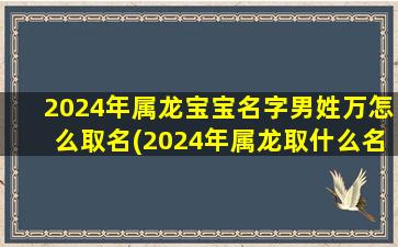 2024年属龙宝宝名字男姓万怎么取名(2024年属龙取什么名字)