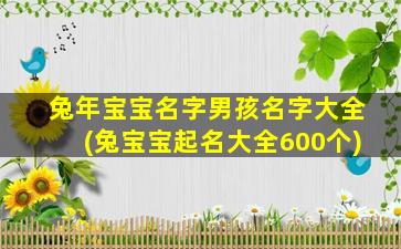 兔年宝宝名字男孩名字大全(兔宝宝起名大全600个)