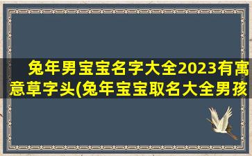 兔年男宝宝名字大全2023有寓意草字头(兔年宝宝取名大全男孩)