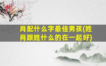 肖配什么字最佳男孩(姓肖跟姓什么的在一起好)