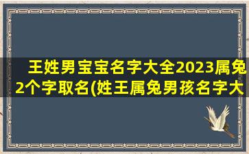 王姓男宝宝名字大全2023属兔2个字取名(姓王属兔男孩名字大全)