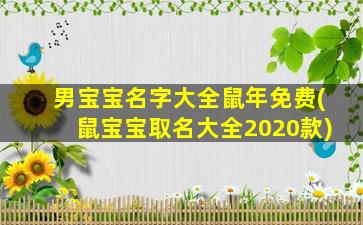 男宝宝名字大全鼠年免费(鼠宝宝取名大全2020款)