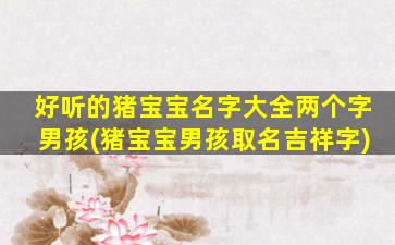 好听的猪宝宝名字大全两个字男孩(猪宝宝男孩取名吉祥字)