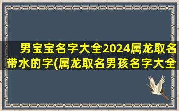 男宝宝名字大全2024属龙取名带水的字(属龙取名男孩名字大全)