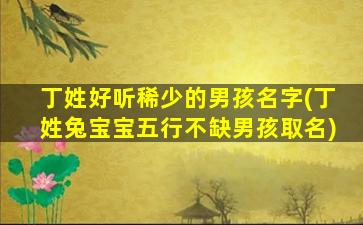 丁姓好听稀少的男孩名字(丁姓兔宝宝五行不缺男孩取名)