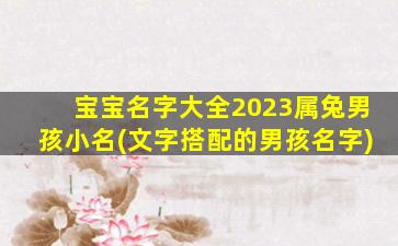 宝宝名字大全2023属兔男孩小名(文字搭配的男孩名字)
