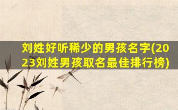 刘姓好听稀少的男孩名字(2023刘姓男孩取名最佳排行榜)
