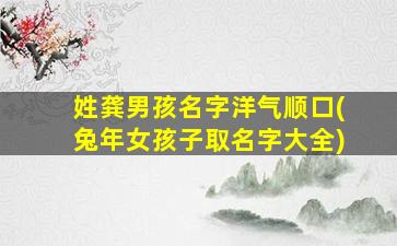姓龚男孩名字洋气顺口(兔年女孩子取名字大全)