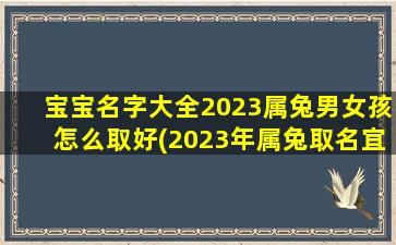 宝宝名字大全2023属兔男女孩怎么取好(2023年属兔取名宜用字)