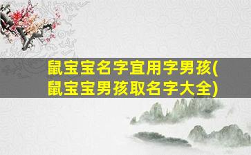 鼠宝宝名字宜用字男孩(鼠宝宝男孩取名字大全)