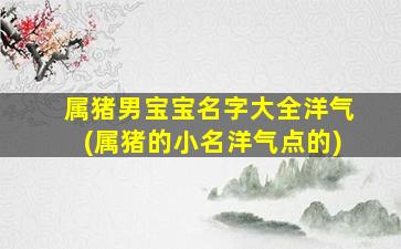 属猪男宝宝名字大全洋气(属猪的小名洋气点的)