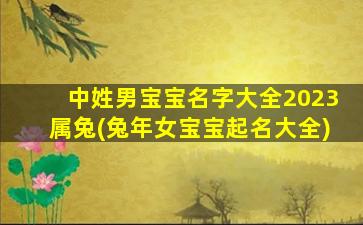 中姓男宝宝名字大全2023属兔(兔年女宝宝起名大全)