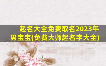 起名大全免费取名2023年男宝宝(免费大师起名字大全)
