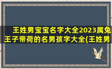 王姓男宝宝名字大全2023属兔王子带荷的名男孩字大全(王姓男孩名字2021年属牛)