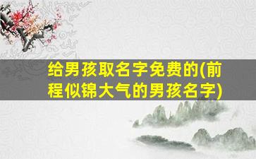 给男孩取名字免费的(前程似锦大气的男孩名字)
