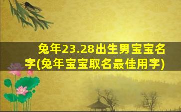 兔年23.28出生男宝宝名字(兔年宝宝取名最佳用字)