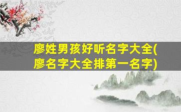 廖姓男孩好听名字大全(廖名字大全排第一名字)