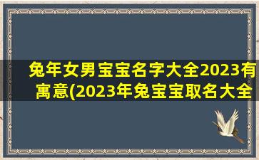 兔年女男宝宝名字大全2023有寓意(2023年兔宝宝取名大全)