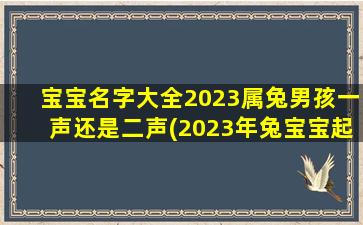 宝宝名字大全2023属兔男孩一声还是二声(2023年兔宝宝起名字)