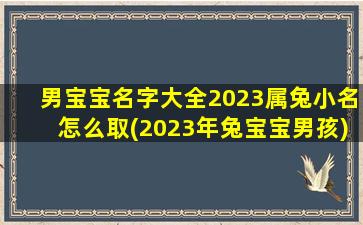 男宝宝名字大全2023属兔小名怎么取(2023年兔宝宝男孩)