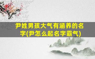 尹姓男孩大气有涵养的名字(尹怎么起名字霸气)