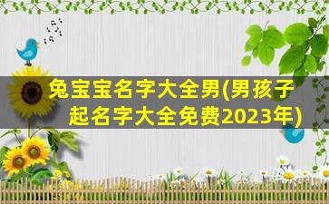 兔宝宝名字大全男(男孩子起名字大全免费2023年)