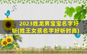 2023姓龙男宝宝名字好听(姓王女孩名字好听时尚)