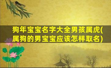 狗年宝宝名字大全男孩属虎(属狗的男宝宝应该怎样取名)