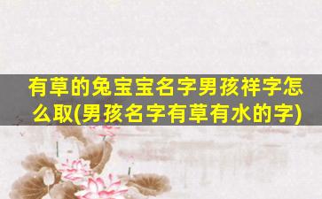 有草的兔宝宝名字男孩祥字怎么取(男孩名字有草有水的字)
