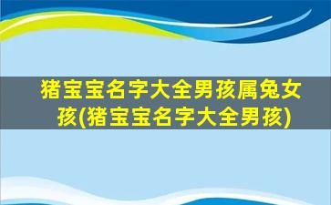 猪宝宝名字大全男孩属兔女孩(猪宝宝名字大全男孩)